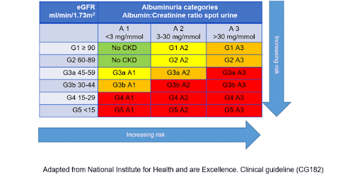 skc transplantation